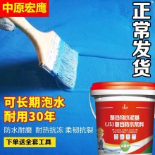 國標(biāo)JS防水涂料防水膠滲水裂縫防水堵漏王衛(wèi)生間廚房內(nèi)外墻堵漏膠